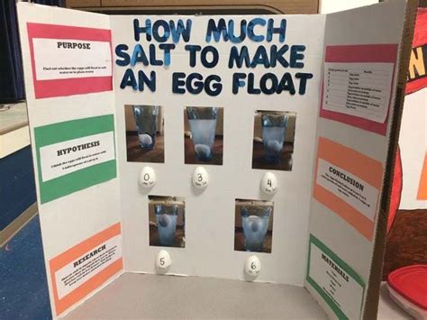 75+ Science Fair Project Ideas - | Cool science fair projects, Science fair projects boards ...