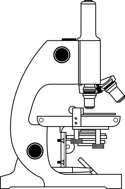 Electron microscopy clipart - Clipground