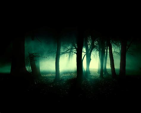 Forbidden Forest by admin2gd1 on DeviantArt