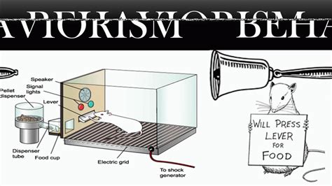 BEHAVIORISM LEARNING THEORY INFOGRAPHIC – MATTHEW P. PIZZI