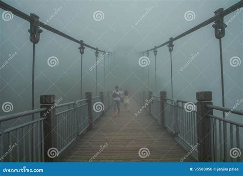 Bridge in zhangjiajie editorial image. Image of bridge - 95583050