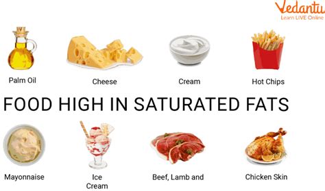 Food Containing Fat- Overview, Examples, Types of Fat, and Summary