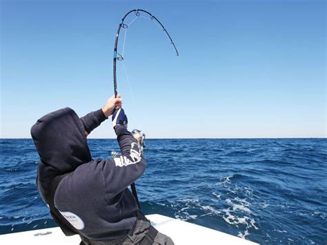 The Gear Required To Fish In Saltwater Successfully