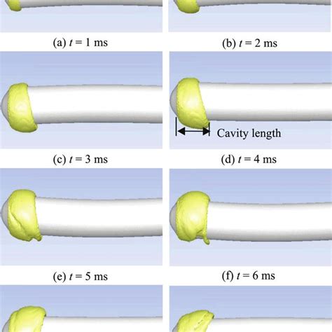 (Color online) Behaviors of cavitating flow around projectile induced... | Download Scientific ...