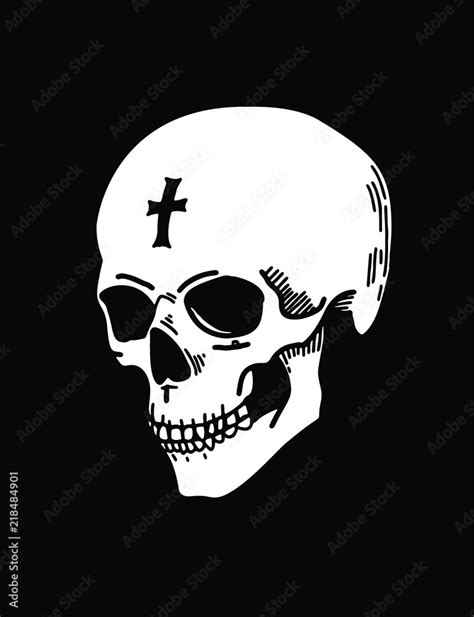 White skull on black background, a hand-drawn human skull illustration ...