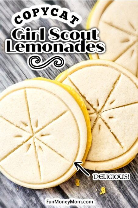 Copycat Girl Scout Lemonades - Fun Money Mom