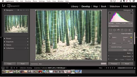 Lightroom CC - Adding Vignette and Grain Effects | Lightroom, Lightroom tutorial, Learn lightroom