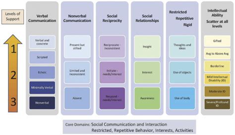 Diagnosis of Autism Spectrum Disorder Across the Lifespan - Psychiatric ...