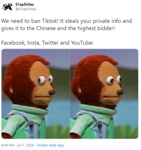 The U.S. Can’t Ban TikTok Without A Meme War (31 Memes)