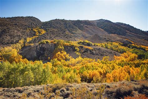 Eastern Sierra Fall Colors - TOP 20 SPOTS — Flying Dawn Marie | Travel ...