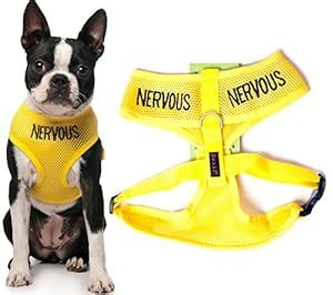 Amazon.com : "NERVOUS" Yellow Color Coded Medium Vest Dog Harness (Give Me Space) PREVENTS ...