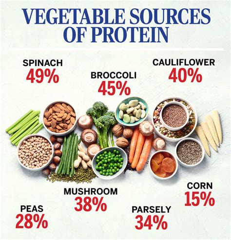 Fast Food That's High In Protein at Clayton Coon blog