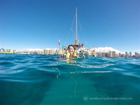 Snorkeling with Hawaiian Green Sea Turtles and Sailing in Honolulu