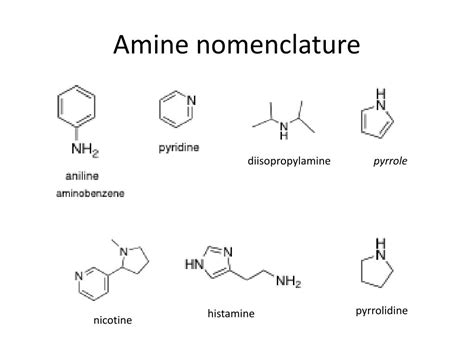 Amine Nomenclature Worksheet With Answer Key - Printable Word Searches