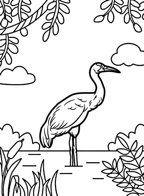 Whooping Crane Bird Coloring Page - Free Printable Coloring Pages