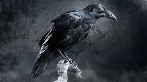 Black raven illustration, crow, digital art HD wallpaper | Wallpaper Flare