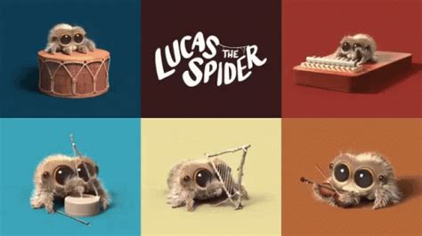 Lucas The Spider Cute Spider GIF - LucasTheSpider CuteSpider Spider ...