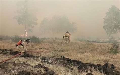 Forest fires in Russia - a man died - World Today News