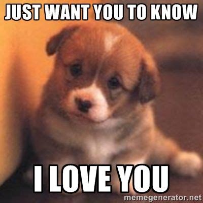 just want you know i love you memes | Love you meme, Cheer up pictures, Cute puppy meme