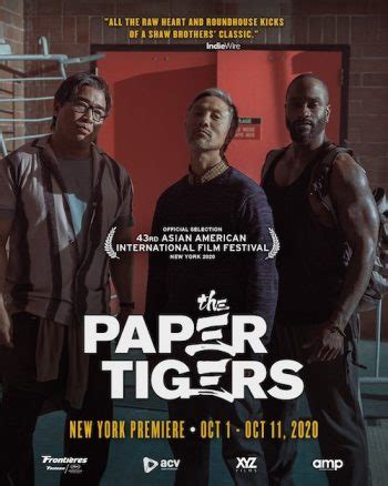 The Paper Tigers Movie Review | RingGangRadio