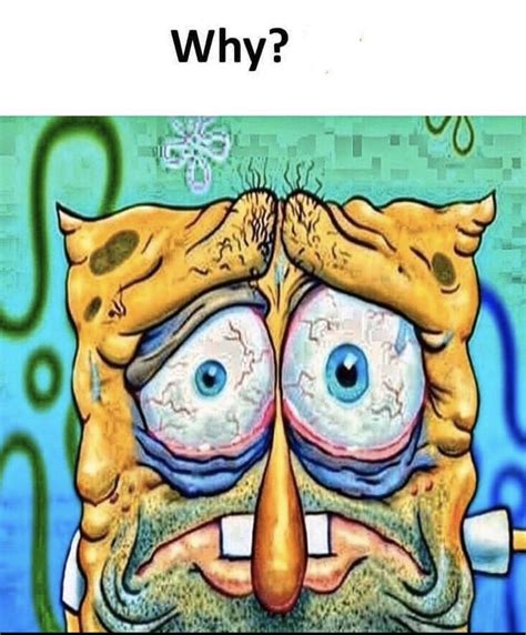 Why? | Sleep-Deprived SpongeBob | Know Your Meme