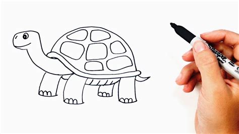 How to draw a Tortoise or Turtle Step by Step - YouTube