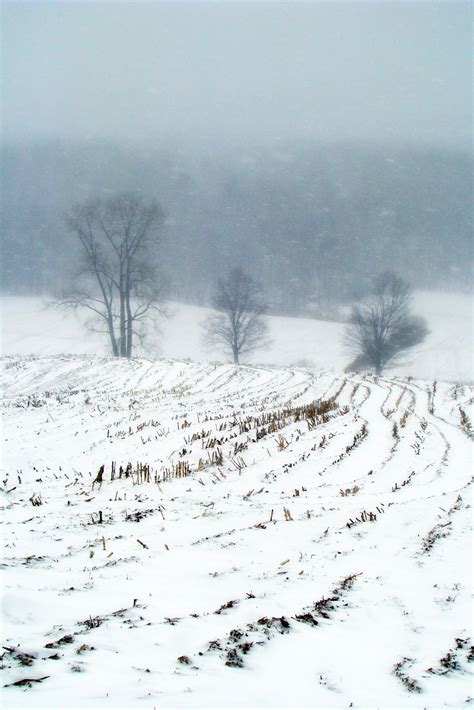 february snow | Favorite places, Picture, Snow