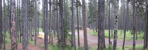 Camper Umo's Campground Reviews: Review: Two Jack Lake Main Campground, Banff National Park