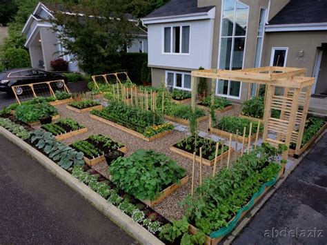 vegetable garden ideas for small yards - JDB Home | Home vegetable ...