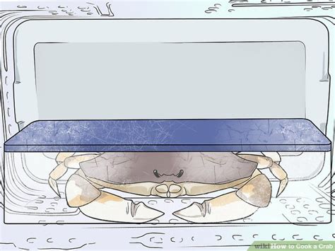 4 Ways to Cook a Crab - wikiHow