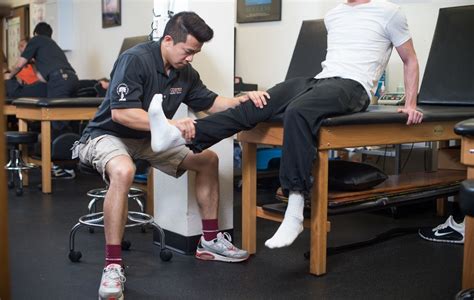 Athletic training program prepares students for careers in the sports industry | University of ...