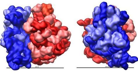 Ribosome FAQ: What Are Ribosomes Made Of?What Are Ribosomes Made Of? And Other Ribosome Questions