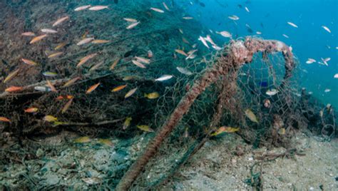 Bottom Trawling Could Be Producing More Carbon Dioxide Than Flying | IFLScience