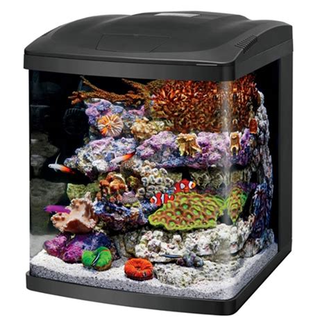 Biocube 32 Manual : Biocube 32 Marine Reef Aquarium Sporting Road ...