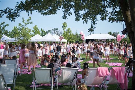 This Picnic Proved Rosé All Day Can Be More Than Just a Slogan ...