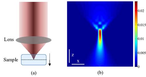 Light intensity distribution of the focused beam in the sample. (a) The ...