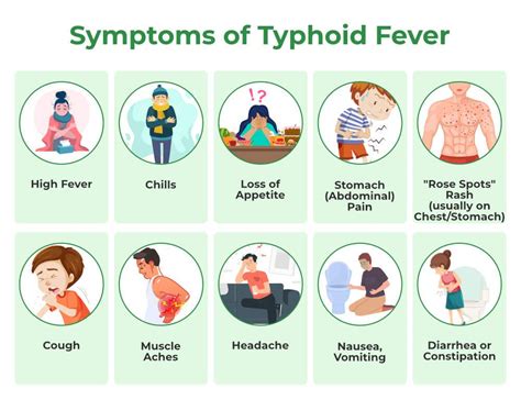 Typhoid Fever - Symptoms, Causes, Prevention and Treatment