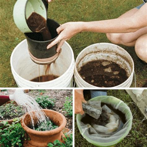 5 Of The World's Best Homemade Vegetable Garden Fertilizers