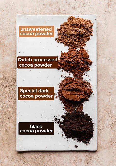 Best Cocoa Powder for Baking — Salt & Baker