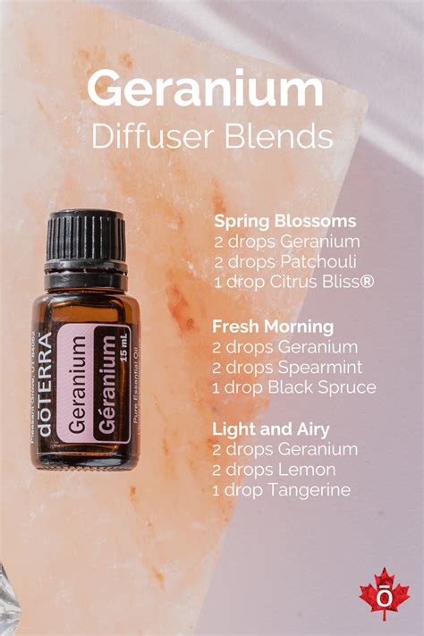 Doterra Diffuser, Essential Oil Diffuser Blends, Essential Oils ...