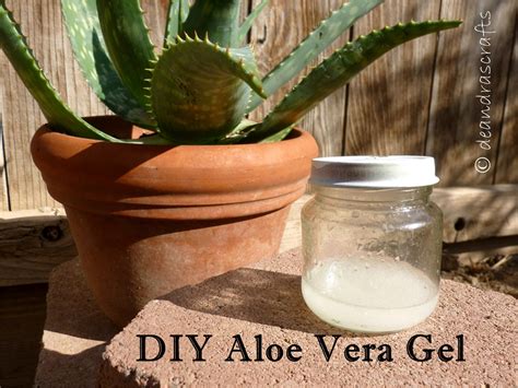 DIY Aloe Vera Gel : 4 Steps (with Pictures) - Instructables