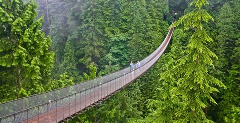 The Capilano Suspension Bridge is officially reopening this month | Venture