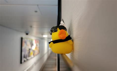 Why Are People Hiding Ducks On Cruise Ships And How You Can Join In The Fun