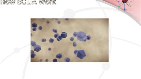 ECLIA TEST (Electro Chemi Luminescent Immuno Assay) - YouTube