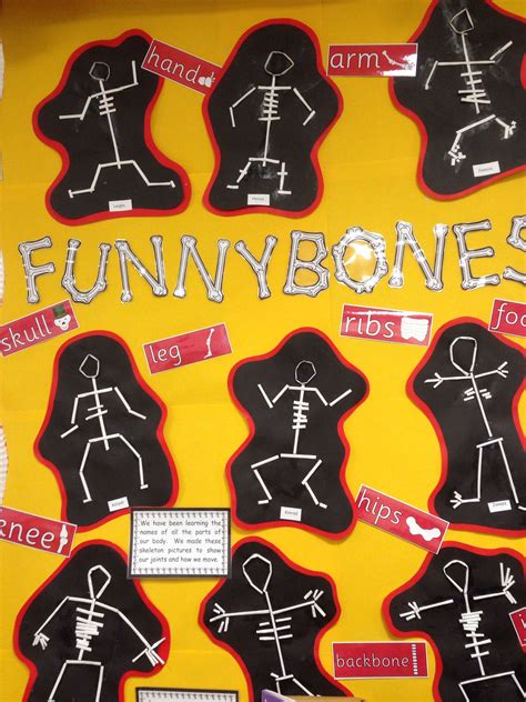 Funnybones display | Bones funny, Afterschool activities, People who ...