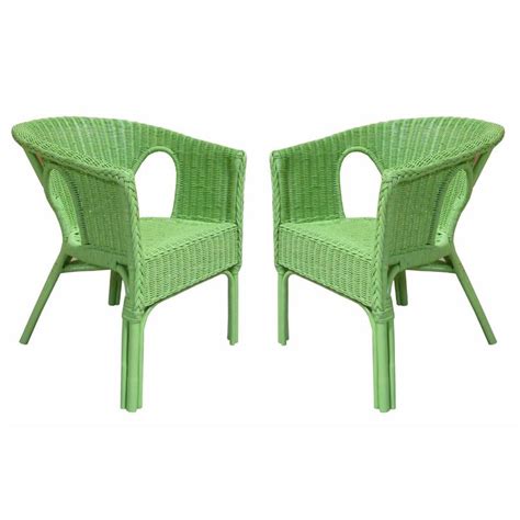 Rattan Living Set of 2 Wicker Chairs in Green - Beyond the Rack | Wicker dining chairs, Outdoor ...
