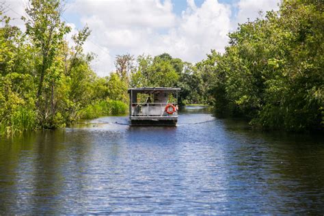 Jean Lafitte Swamp & Airboat Tours