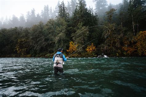 Quinault River Fly Fishing Salmon, Steelhead - Fly Gyde