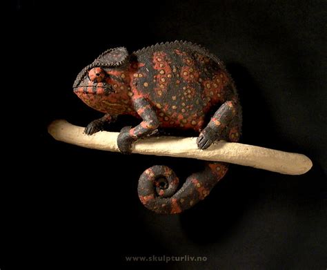 Black Chameleon | Flickr - Photo Sharing!