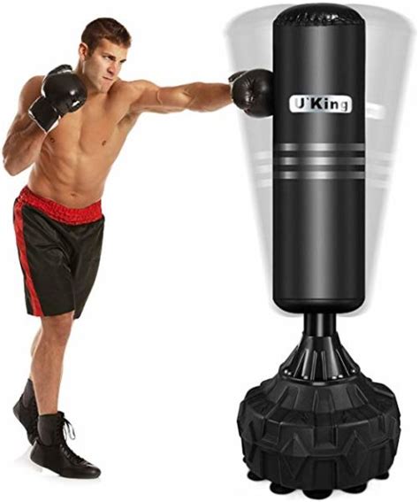 Top 10 Best Free Standing Punching Bags — TheFifty9